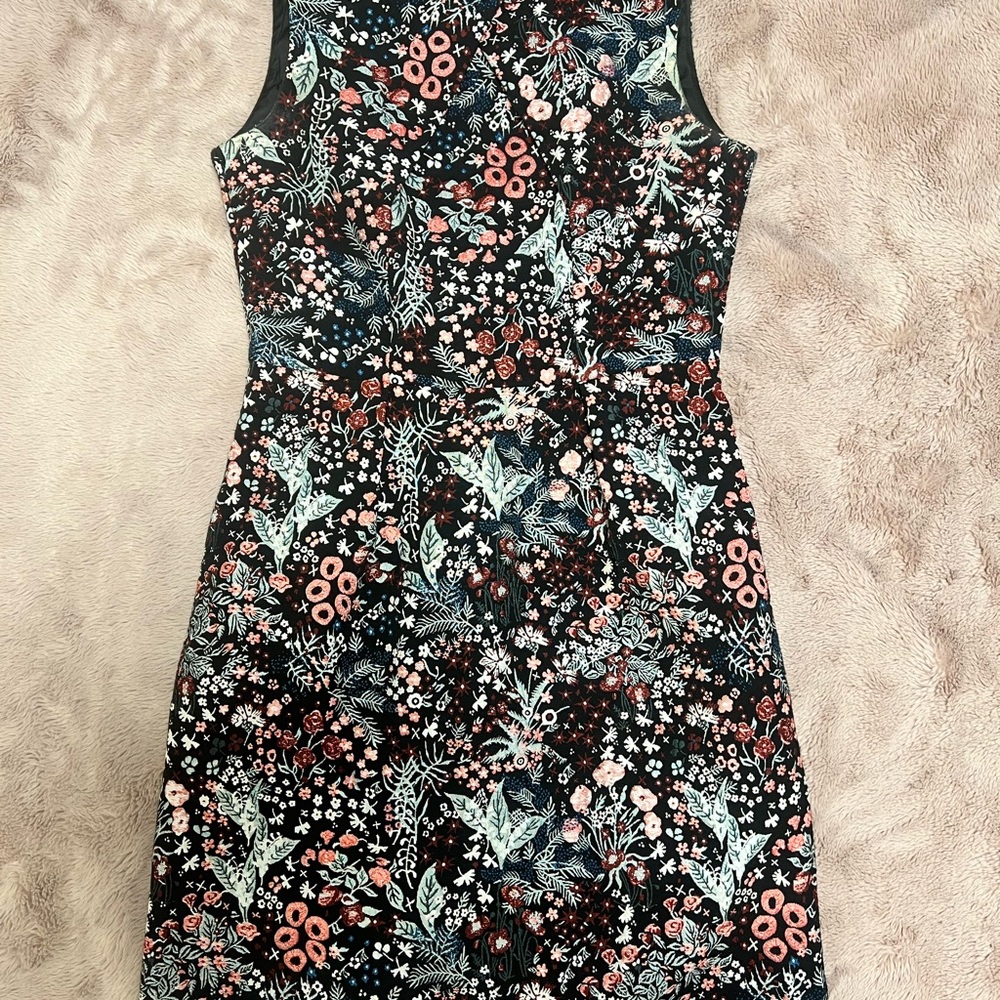 Embroidered Floral Sleeveless Dress